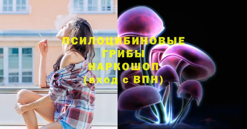 Галлюциногенные грибы Magic Shrooms  где продают   Минеральные Воды 